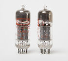 3000528 Raytheon Tubes Early Black Plate Substitutes