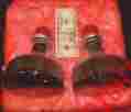 4456 Rca Made In Usa Nos Pair 2 Tubes Type Photo-multiplier Tv Camera Photo Multiplier Giant
