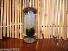 858040 Stereo Vintage Sylvania Results 6lb6 Strong 11 V Tube 700