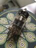 Ecc88-6dj8-pcc88-7dj8 Valvo Germany Tube