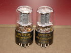 6sn7gt-vt-231 Jan Crp Raytheon Pair Military Radio Tubes Good