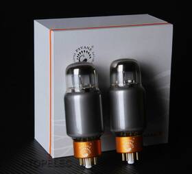 6ca7-t-ii Psvane