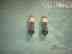 6p15p-ev Tube Nos 15 El83 Pentode Saratov Grid 2 Gold Sv83 Set 6 -