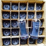 IN-18 IN18 Nixie Tubes 6 Pcs. Fixed Price $480.00.