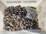 580 Lot Of Untested Smaller Vaccum Tubes 6AK5W 6AL5 9002 9003 5670 Others. Fixed Price $807.50.