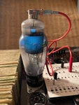 5557 Rca Tube Valve Quicksilver Gleichrichter 1 Piece Tested! 866A. Fixed Price $69.99.