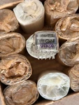 IN-15A Nixie Tubes 12 Pcs Lot Nos Ussr Indicator Tested Box. Fixed Price $35.00.