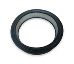 Iapco Air Filter AF520, A31142, 0428045, 88020, W27602, AF129, A1142. Fixed Price $13.98.