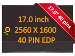 240HZ 2.5K 17.0" Wqxga Ips Laptop Lcd Screen Msi Raider GE78HX 13VI Pin. Fixed Price $139.97.