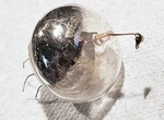 Western Electric 384A Vacuum Tube Vintage Used Pull Untested. Fixed Price $55.00.