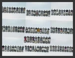 Job Lot 100 EF40 EL41 EL42 EAF42 ECH42 UAF42 EBC41 EF41 UAF41 DK40 Vacuum Tube. Fixed Price $396.00.