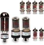 Deluxe Reverb (silver Panel) Set With Matched Power Tubes, Ruby And Jj.... Fixed Price $215.86.