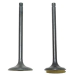 New Engine Valve Kit Suzuki LT-Z250 LT-F250 Ozark 246CC 2003-2009 12912-18A00. Fixed Price $51.75.