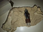 Rca Vacuum Tube - Model 2C21 1642. Fixed Price $8.00.