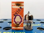 1EA Reflector 6N3P-I 5670 2C51 396A Nos Nib Gold Grid Tested Strong Tube. Fixed Price $12.45.
