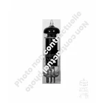 6005W / 6AQ5W Various Brands Tube. Fixed Price $14.40.