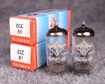 (2) Matched Telefunken ECC81 12AT7 Tubes Same Date Codes Test Strong 112%+!. Fixed Price $149.99.