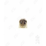 6844A Raytheon Tube. Fixed Price $50.12.