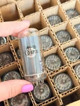 IN-18 Nixie Tube Nos Ussr Tested Large Clock Indicator Same Batch 1987 Lot 6 Pcs. Fixed Price $474.99.