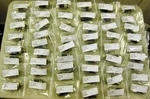 Assorted Octal Tubes - All Tested Very High Value Only Bargain Priced. Fixed Price $5.99.