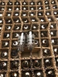 Nos Ei Telefunken Tooling 6GH8A Bulk Packed Vacuum Tubes = 6U8 6EA8 6F2 ECF82. Fixed Price $14.95.